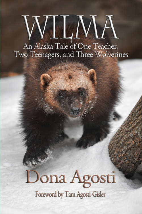 Book cover of Wilma: An Alaska Tale of One Teacher, Two Teenagers, and Three Wolverines