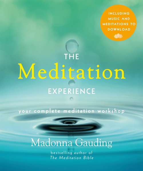 Book cover of The Meditation Experience: Your Complete Meditation Workshop in a Book