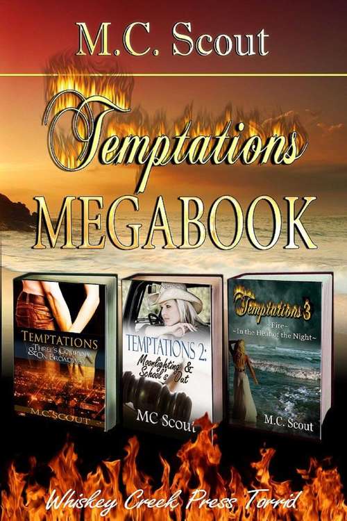 Book cover of Temptations Megabook