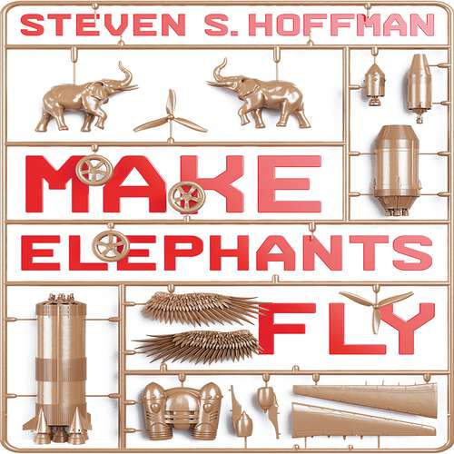 Book cover of Make Elephants Fly: The Process of Radical Innovation