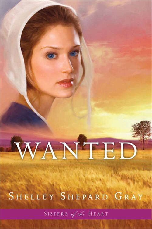 Book cover of Wanted (Sisters of the Heart, Book #2)
