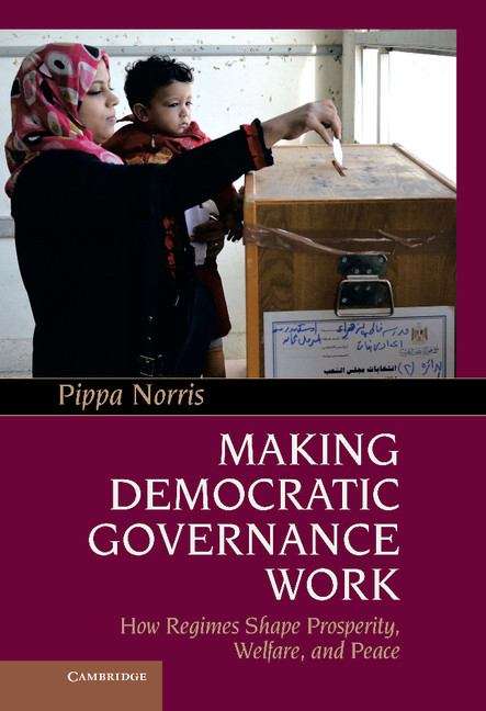Making Democratic Governance Work