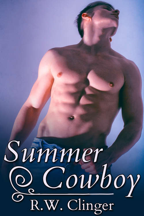 Book cover of Summer Cowboy